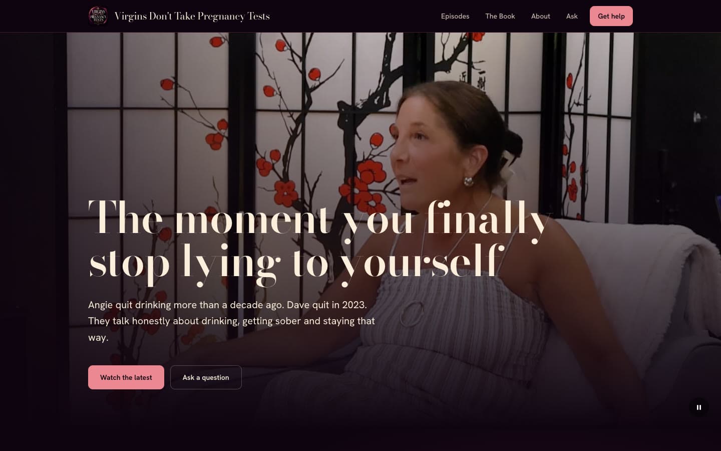 The Virgins Don't Take Pregnancy Tests website