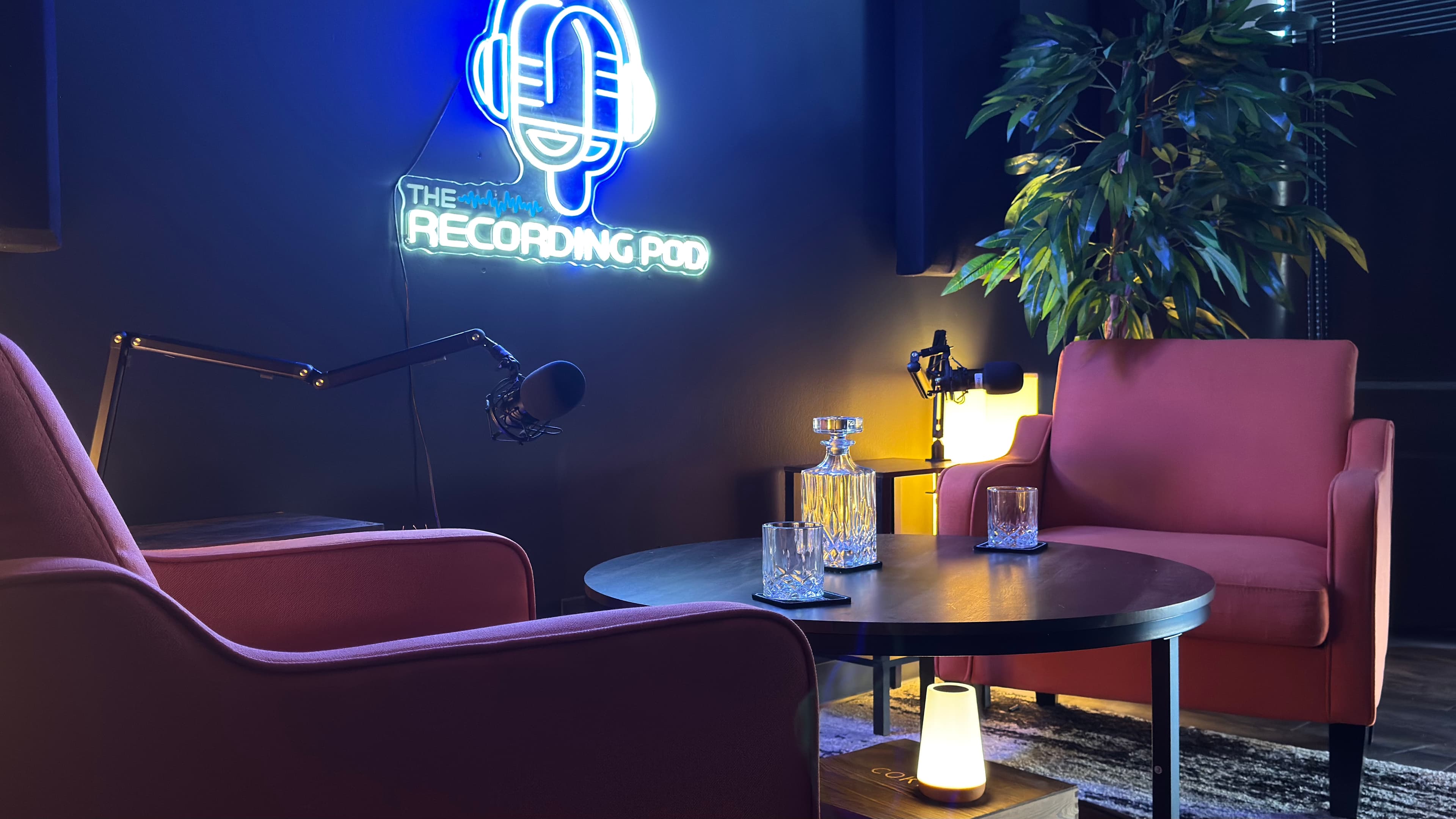 Broadcast microphones at The Recording Pod